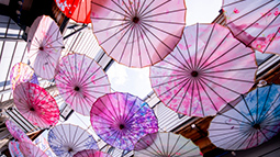 また参加したい、とても楽しく学びのある５日間でした！